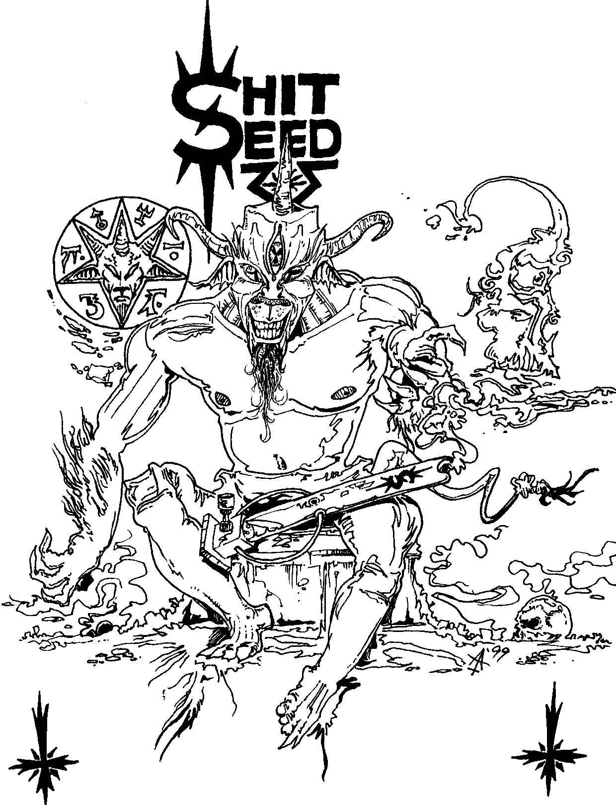AN UNUSED SHITSEED COVER IDEA